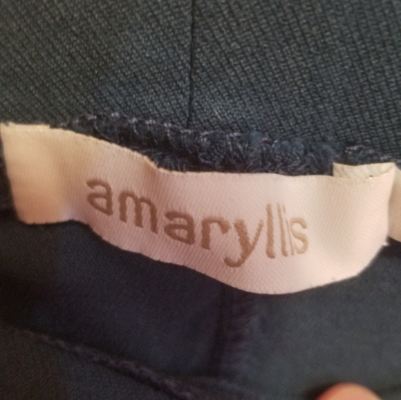 Amaryllis 3X Blue Stretchy Pants - Picture 3 of 8